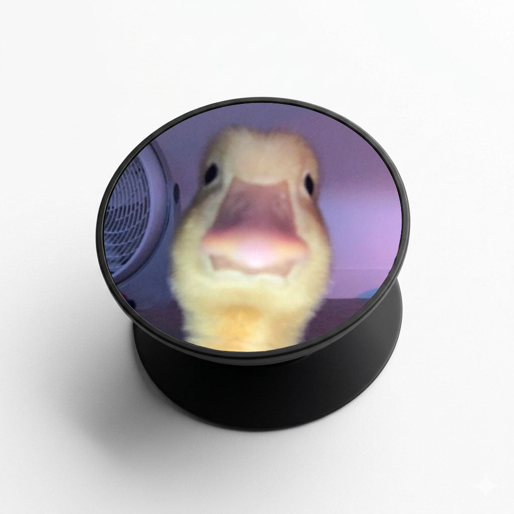 Space Duck