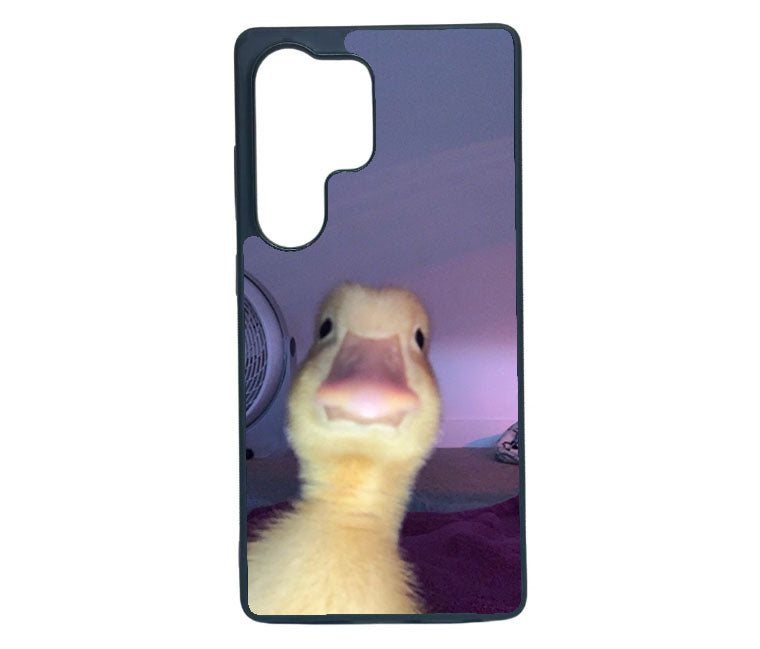 Space Duck