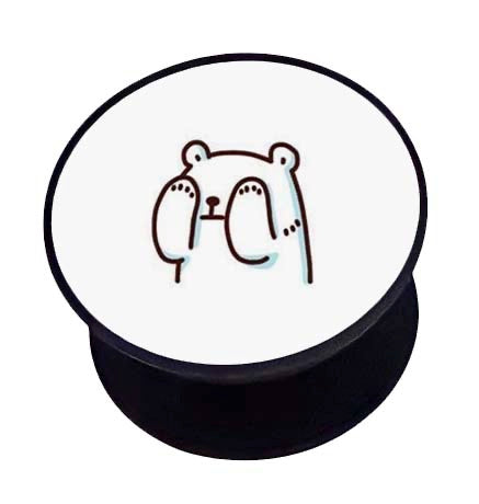 Ice Bear