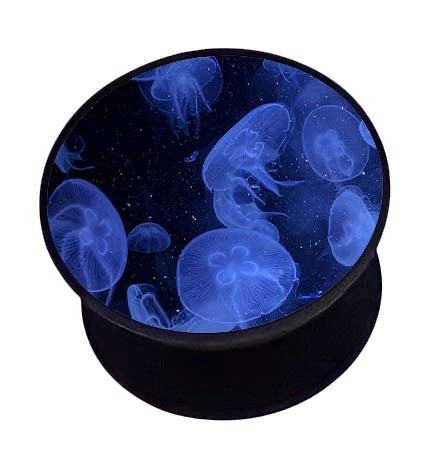JellyFish